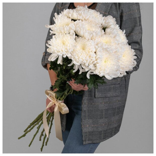 5 Белых Хризантем Бигуди